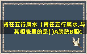 肾在五行属水（肾在五行属水,与其相表里的是( )A膀胱B胆C胃D小肠E耳）